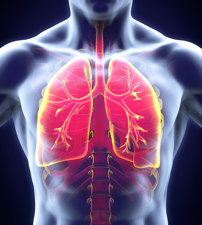 Bild zum Asthma Studienfinder Novartis - Klinische Forschung Novartis
