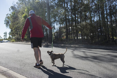 MASH | Novartis - klinische Forschung _ Mann geht mit Hund spazieren
