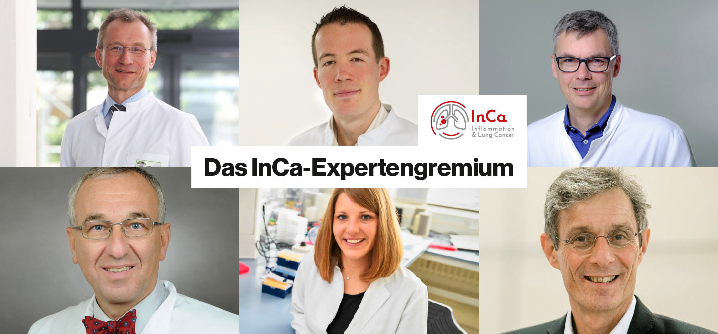 Das InCa-Expertengremium