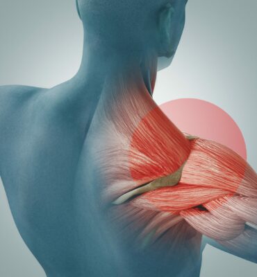 Man view from back. Blades, shoulder and trapezoid 3d rendering Grafik: Schulter von hinten | Novartis – Klinische Forschung