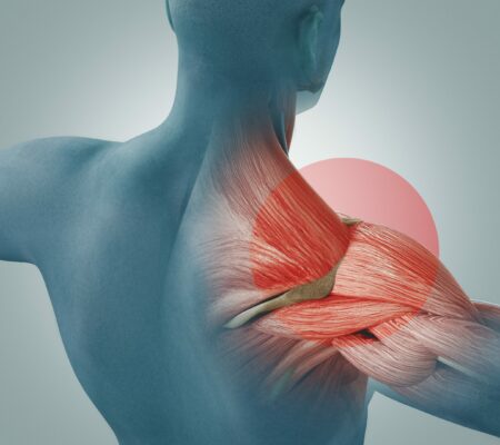 Man view from back. Blades, shoulder and trapezoid 3d rendering Grafik: Schulter von hinten | Novartis – Klinische Forschung