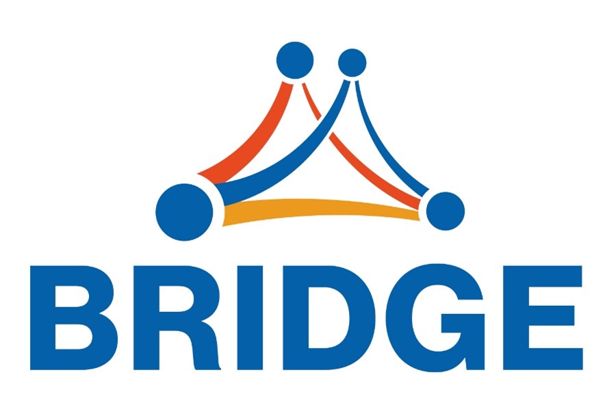Logo Bridge | Novartis – Klinische Forschung
