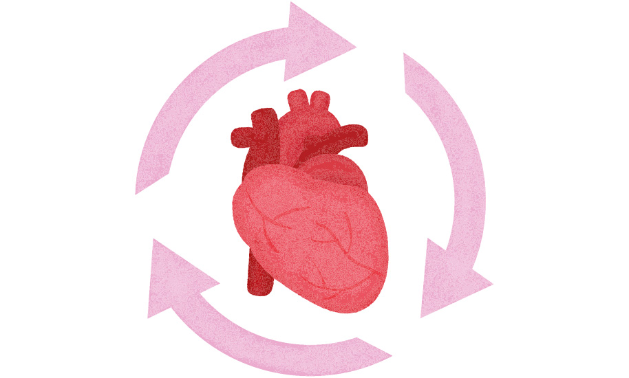 novartis-blog-organspende-herz-2