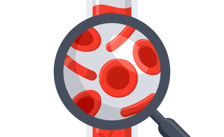 Illustration des Blutes in einem Blutgefäß das mit einer Lupe vergrößert wird.