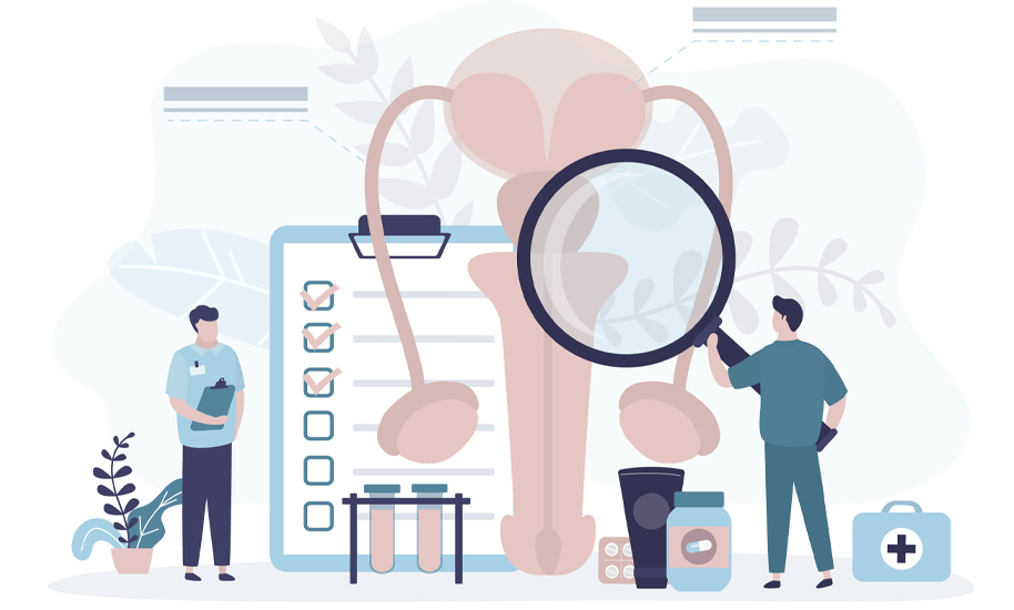 llustration des männlichen Urogenitalsystems mit Lupe, Checkliste und medizinischem Personal zur Prostata-Untersuchung.