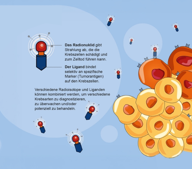 Schematische Darstellung eines Liganden mit Radionuklid, das gezielt an Krebszellen bindet.