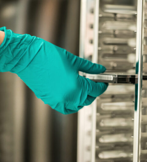 Laboratory technician handling sample in a medical facility